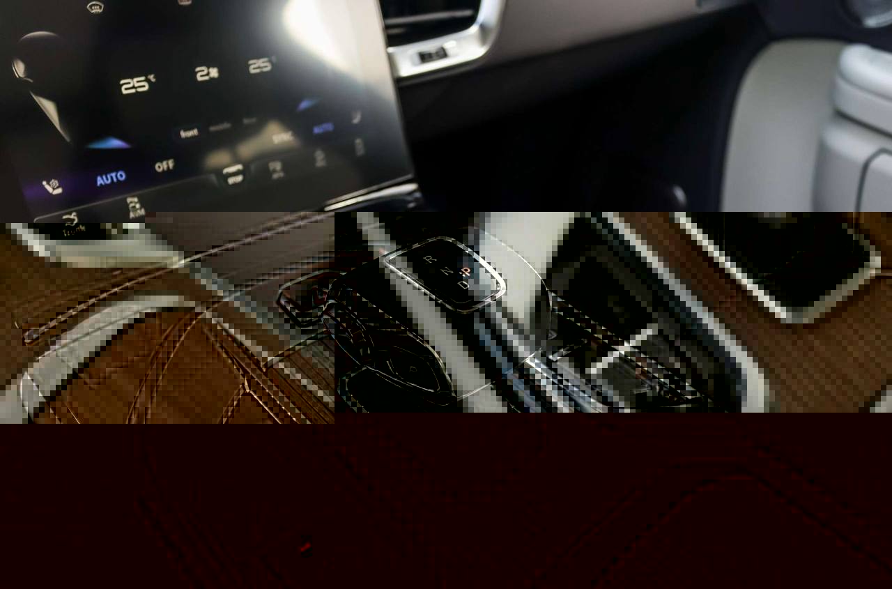 Hongqi E-HS9